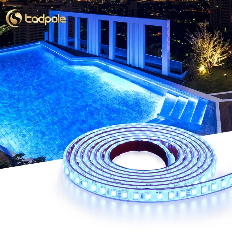 12V Rgb Swimming Pool Lights Smd 5050 Red Blue Yellow Color 30 Led Ip68 Underwater Led Light Strip Waterproof