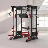 ASJ-S114A commercial tout-en-un Power Rack Gym Fitness Equipment Multi Functional Smith Squat Rack Machine pour un usage domestique