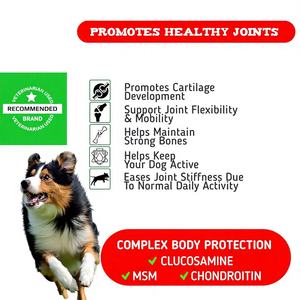 Complément pour les hanches des chiens OEM/ODM, favorise le développement du cartilage, améliore la flexibilité des articulations, comprimés à mâcher à la glucosamine et à la chondroïtine - Product Image 5