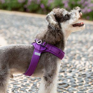 Harnes hewan peliharaan kulit sapi terlaris mantel gaya bendera Amerika dengan tali untuk <span class=keywords><strong>harness</strong></span> hewan peliharaan anjing - Product Image 4