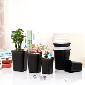 Pots de fleurs carrés en plastique écologique noir créatifs de 4 pouces pour plantes succulentes, utilisation à la maison et au jardin - Product Image 5