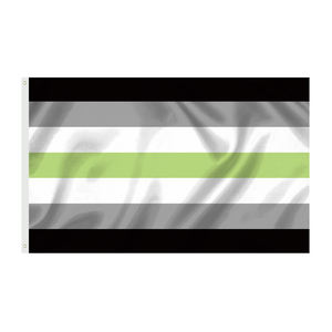 Progress Pride Rainbow Flag 3x5 Bisexual LGBTQ Lesbiana Gay Transgénero Pride Banderas homosexuales - Product Image 5