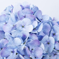 Bunga Hydrangea Buatan 3D PVC/Kawat 5 Kepala 8 Daun 150 Bunga Pewarnaan Berkualitas Tinggi Dekorasi Rumah Hotel Pernikahan