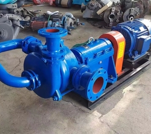 Bomba de lodos y impurezas tipo SHUANGSHENG ZJW150-400, bomba de suministro para filtro prensa de baja presión, bomba de aguas residuales, bomba de alimentación eléctrica de 30 kW, 1 año de garantía - Product Image 3