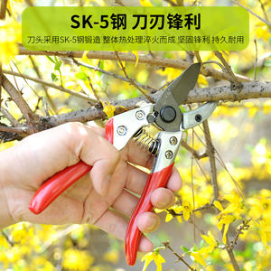 Sécateur de jardin Double Star en acier inoxydable SS-808, outil de taille pour branches de 20-30 mm, poignée rouge - Product Image 4