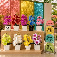Nouvelle Phalaenopsis Mini Bonsaï, Décoration de Bureau Réaliste, Accessoire Photo, Fleur Artificielle en Pot