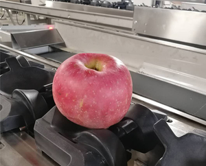 Selezionatrice digitale ad alta velocità del peso della macchina imballatrice di classificazione del pomodoro dell'acciaio inossidabile 304 - Product Image 3