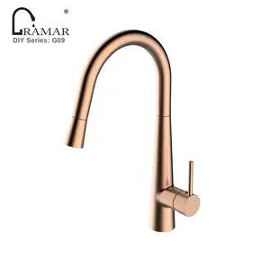 Avrupa Modern stil katı pirinç mutfak lavabo aşağı çekin musluk mikser