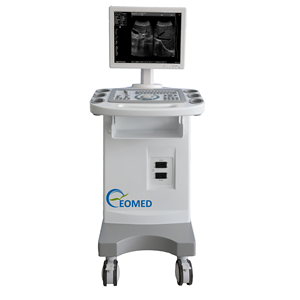 Mesin <span class=keywords><strong>Ultrasound</strong></span> portabel Trolley B/W mesin <span class=keywords><strong>Ultrasound</strong></span> untuk <span class=keywords><strong>Vet</strong></span> dan manusia BW1100 - Product Image 1