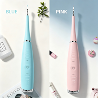 Brosse à dents électrique sonique rechargeable par USB, 12000Hz, blanchiment ultrasonique, poils doux pour adultes, utilisation domestique et en voyage, IPX6