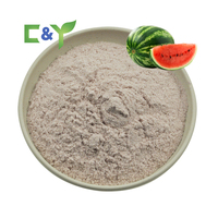 Poudre de jus de pastèque en poudre à prix compétitif extrait de pastèque en poudre