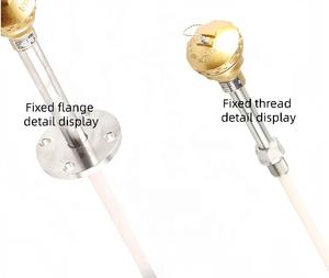 Thermocouple de type K/R/<span class=keywords><strong>S</strong></span>/B haute température avec tube de protection en céramique pour four - Product Image 3