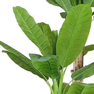 Árbol de plátano artificial de 8 pies de alto, hojas grandes de tacto real, tallo triple, árbol de seda de plátano falso, planta de hoja de plátano artificial para el hogar - Product Image 3