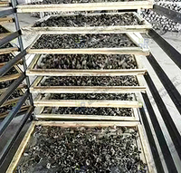 Équipement industriel de séchage de champignons, déshydrateur alimentaire pour fruits et champignons