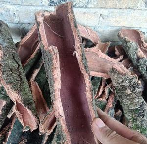 Yang Mei Pi ป่าแห้ง Myrica Cerifera เปลือกชิ้น Bayberry เปลือกสำหรับสมุนไพร - Product Image 2