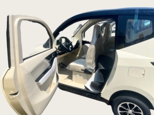 EEC-Scooter eléctrico de <span class=keywords><strong>dos</strong></span>/cuatro plazas, vehículo eléctrico de uso familiar, mini coche de nueva energía, para movilidad cerrada, de China, de <span class=keywords><strong>dos</strong></span> y cuatro plazas - Product Image 5