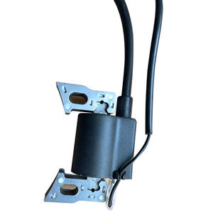 High-Voltage Transformer 2KW/3KW Gasoline Generator with GX160 Regulator <b>Ignition</b> <b>Coil</b> Assembly 168F/170F/950 Product Category - Product Image 3