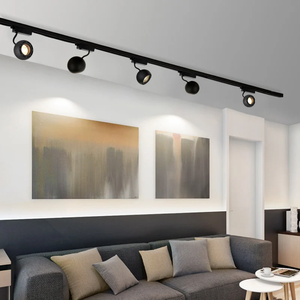 Projecteurs à Angle Réglable pour Rails COB, Luminaire en Aluminium pour Magasin <span class=keywords><strong>de</strong></span> Vêtements, Maison - Product Image 1