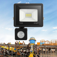 Projecteur LED Extérieur Étanche IP66 en Aluminium 10W, Nouveau Modèle à Prix Compétitif, Télécommande, Angle de Faisceau 120°, 6000K, 27000lm/W