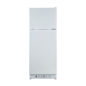 Refrigerador Solar Portátil de 380L para Uso Doméstico, Modelo DDG-390D2U, Precio Económico - Product Image 1