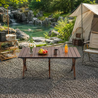Mesa Plegable de Aluminio de Alta Calidad para Picnic, Nueva Mesa Portátil para Exteriores, Ideal para Acampar y Comer en la Playa