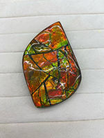 Grand spécimen d'ammolite, coquille fossile organique naturelle, pierre minérale décorative