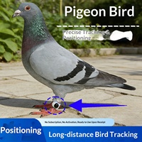 Traceur GPS pour bagues de pied de pigeon, pour pigeons voyageurs de course et corbeaux - Anti-perte, surveillance à distance, entraînement, libération en vol, endurance, PVC