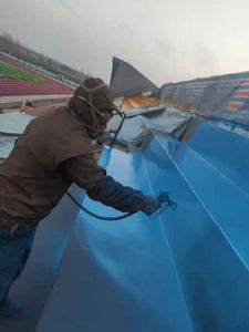 Roof Bridge Fatigue Aging Resistance Moisture Cured Single Component Polyurea Waterproof Coating Paint - Product Image 4