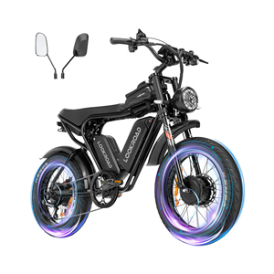 Vélo électrique L20 PRO à double moteur 52V 40Ah, autonomie longue portée 200-250 km, freins à disque hydrauliques doubles, certifié CE, pneus larges de 20 pouces - Product Image 6