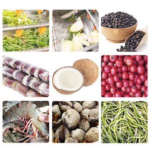 Автоматическая стиральная машина пузыря фруктов и овощей - Product Image 6