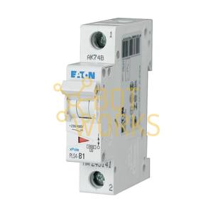 Eaton 243166 - Nuevo - Product Image 1