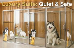 Gabbia per animali personalizzabile a 6 porte, espositore in acciaio inossidabile antiruggine per cliniche veterinarie e negozi di animali - Product Image 5