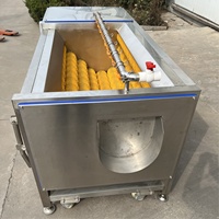 Machine de nettoyage de brosse de composants de noyau de moteur de moteur de PLC pour des fruits et légumes
