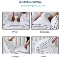 Oreiller doux en peluche de luxe avec couverture en microfibre de coton respirant pour la maison et l'hôtel Oreillers respectueux de la peau pour les détaillants