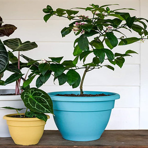 Bán Buôn Tráng Men Thiết Kế Cổ Điển Chậu Hoa Từ Trung Quốc Lớn Giá Rẻ Nhà Vườn <span class=keywords><strong>Container</strong></span> Cho Trong Nhà Trồng Cho Sàn Sử Dụng - Product Image 4