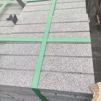 Dalles de pavage extérieures en granit noir naturel, base épaisse 600*600, finition polie, durables et écologiques, directement de l'usine