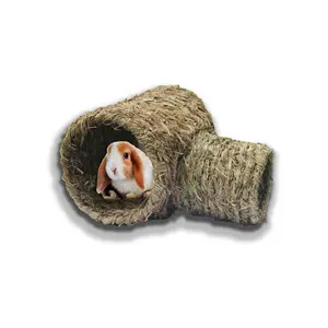 Hamster ấm dệt đường hầm