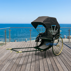Rickshaw, Carroza de Caballos de 2 Ruedas, Transporte Especial, Carroza de Poni en Venta - Product Image 1