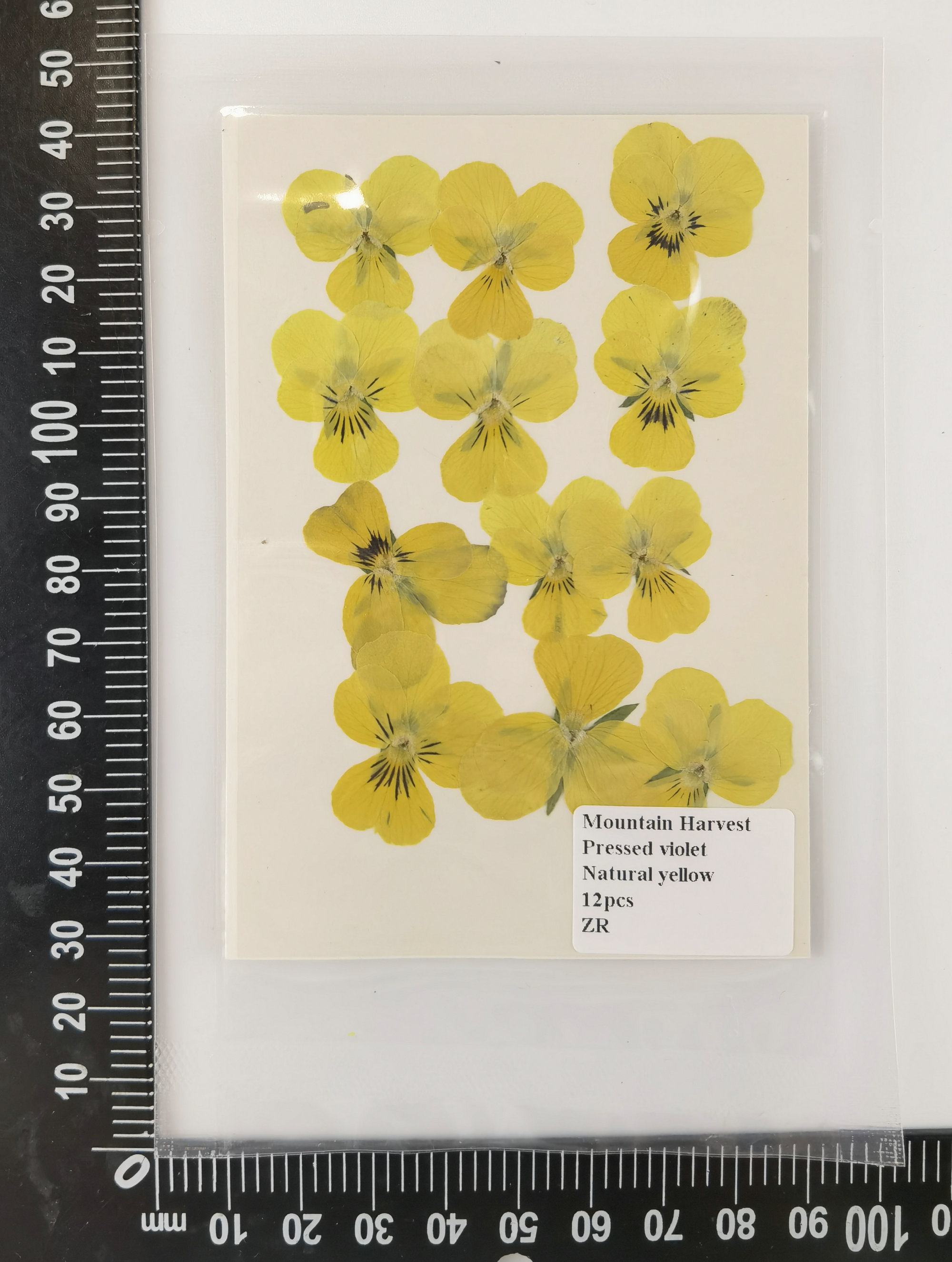 Giallo naturale 12 pz/borsa