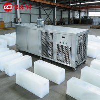 Grande Machine Industrielle Automatisée à Glaçons en Plaques et Blocs, Production Rapide de 50 à 500 kg, 1 à 3 Tonnes, Équipement de Fabrication de Briques de Glace