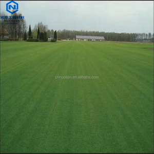 <span class=keywords><strong>Grille</strong></span> de <span class=keywords><strong>sol</strong></span> antidérapante de meilleure qualité <span class=keywords><strong>pour</strong></span> le contrôle de la boue, pavé d'herbe en plastique, hauteur 38mm, pose de <span class=keywords><strong>gravier</strong></span> - Product Image 4