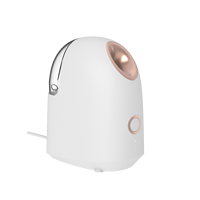 Vaporizador facial Nano iónico de alta calidad Vapozone vapor caliente y instrumento de humedad profunda Nano Mister eléctrico