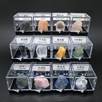 Ensemble de boîtes de présentation en acrylique pour spécimens minéraux naturels : Lapis Lazuli, Kyanite, Célestine – Collection de cristaux pour géologues et éducateurs – Vente en gros