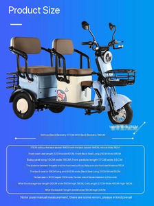 <span class=keywords><strong>Tricycle</strong></span> électrique ouvert scooter domestique pour adultes 600w 800w 1000w véhicule électrique à énergie nouvelle avec grand espace de stockage - Product Image 2