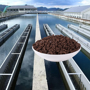 Mua mangan cát mangan trong nước uống - Product Image 5