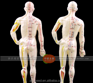 Modello di Punti di Agopuntura Umani Maschili per Muscoli del Corpo, Stile Cinese - Product Image 6