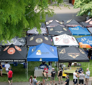 Carpa de Lona Impermeable Resistente para Exteriores con Logotipo Personalizado, 10*10 pies, 10*15 pies, Plegable, para Ferias Comerciales Automotrices - Product Image 6