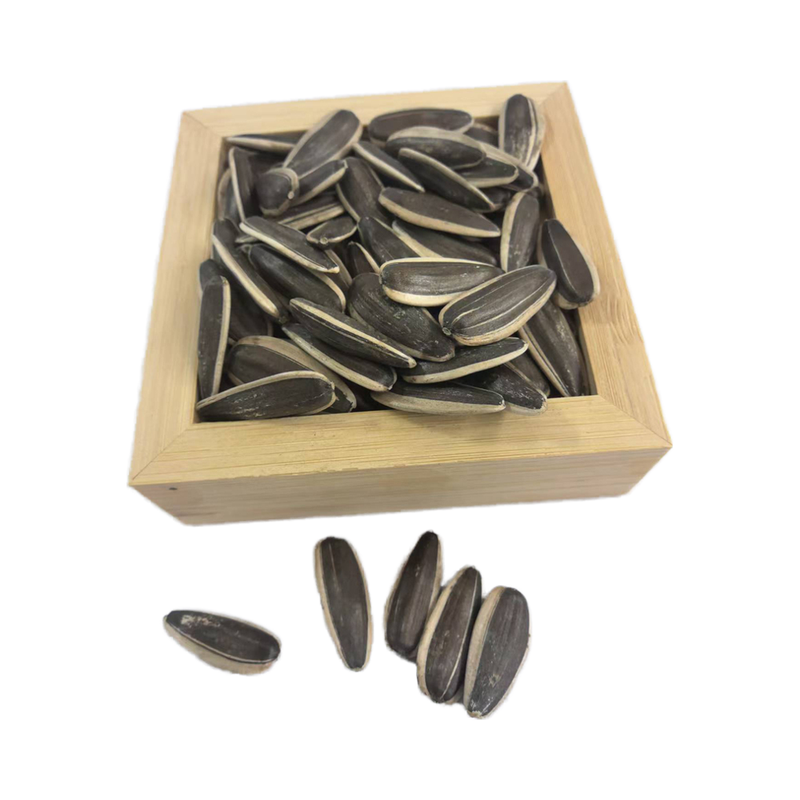 Organic Sunflower Seeds High Quality Agricultural