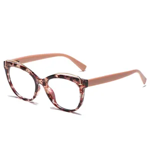 Y5207 Fashionable high-quality Optical Glass AC Tr90 Computer Glasses Eyeglasses Frames