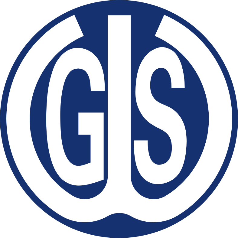 Guangzhou WGS Gas Springs Co., Ltd. logo